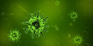 La gestione del biofilm batterico nelle ferite croniche