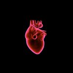 anatomia del cuore riassunto per infermieri