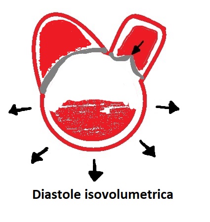 diastole isovolumetrica