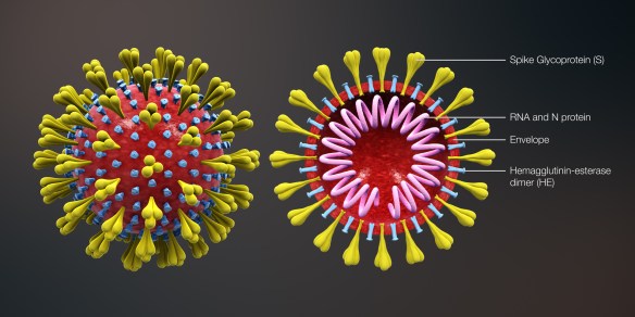 coronavirus - dimensioneinfermiere