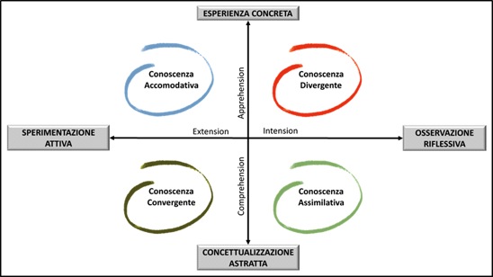 dimensioni strutturali e stili di apprendimento large