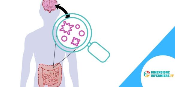Il microbiota intestinale può influenzare il nostro stato d'animo