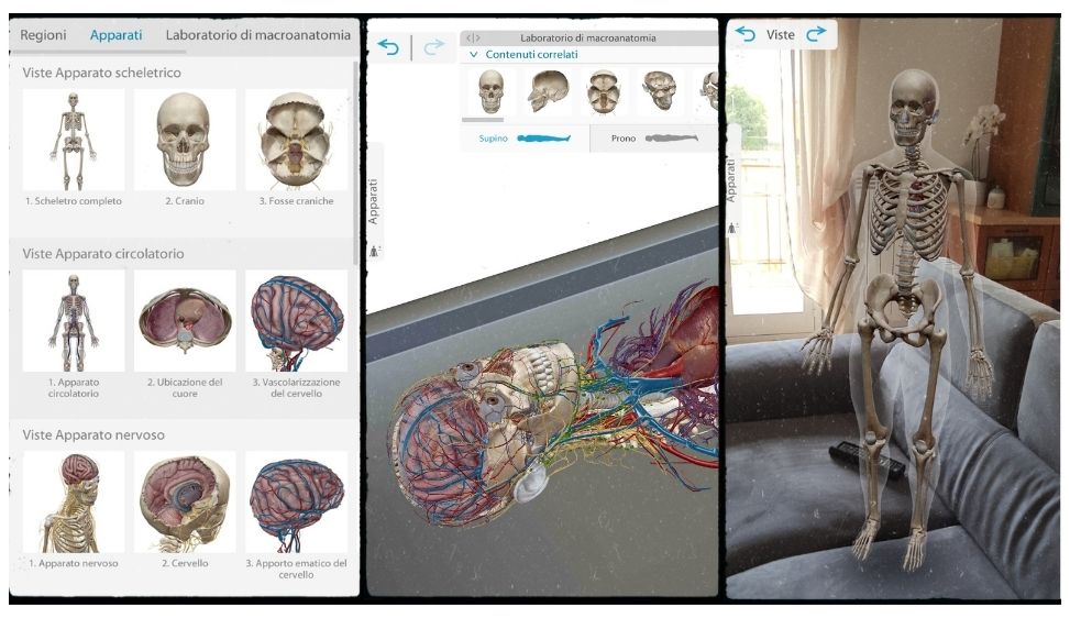 Atlante di anatomia umana un'app per studiare ai corsi di infermieristica