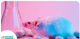 Il microbioma alterato nei topi provoca ansia siamo quello che mangiamo