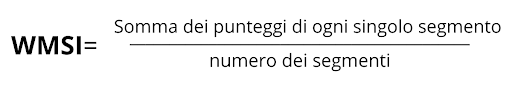 Valutazione ecocardiografica del Wall Motion Score Index 1 Formula Wall Motion Score Index (WMSI)