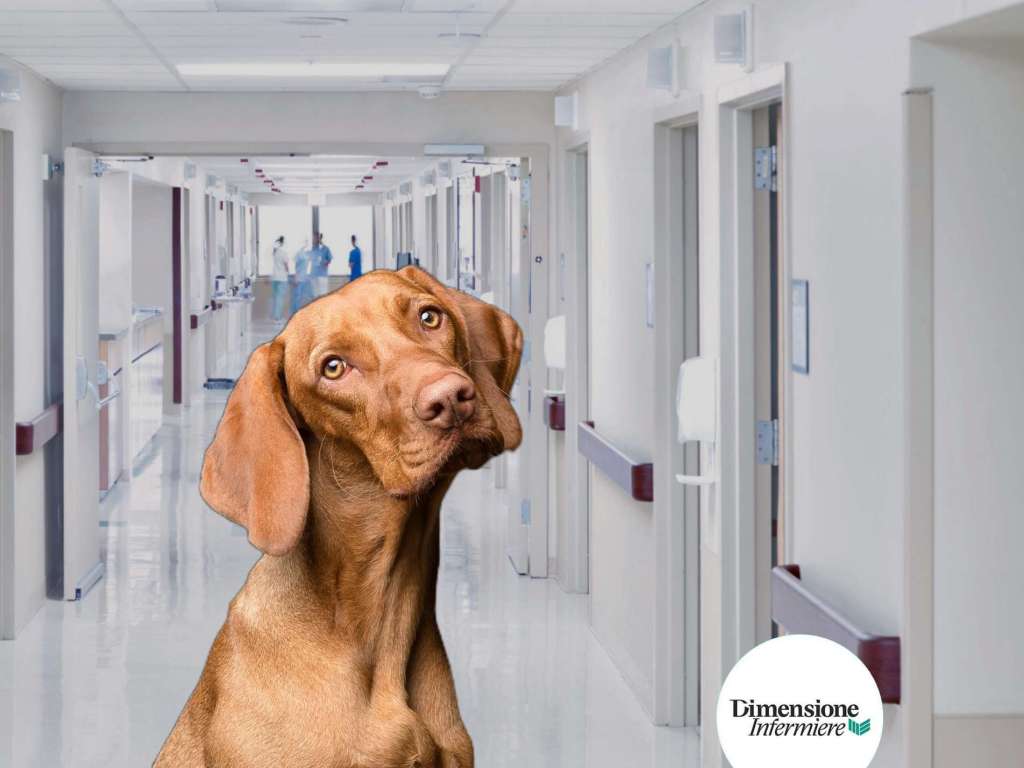 HelloPet, progetto di 2 infermieri per portare in corsia gli amici a 4 zampe 1 AddText 07 14 01.04.30