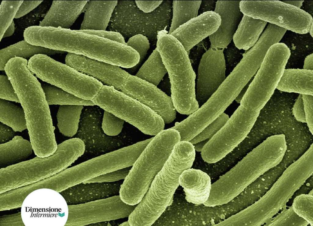 L'antimicrobico resistenza fa 4,95 milioni di morti l'anno 1 AddText 09 27 01.02.02