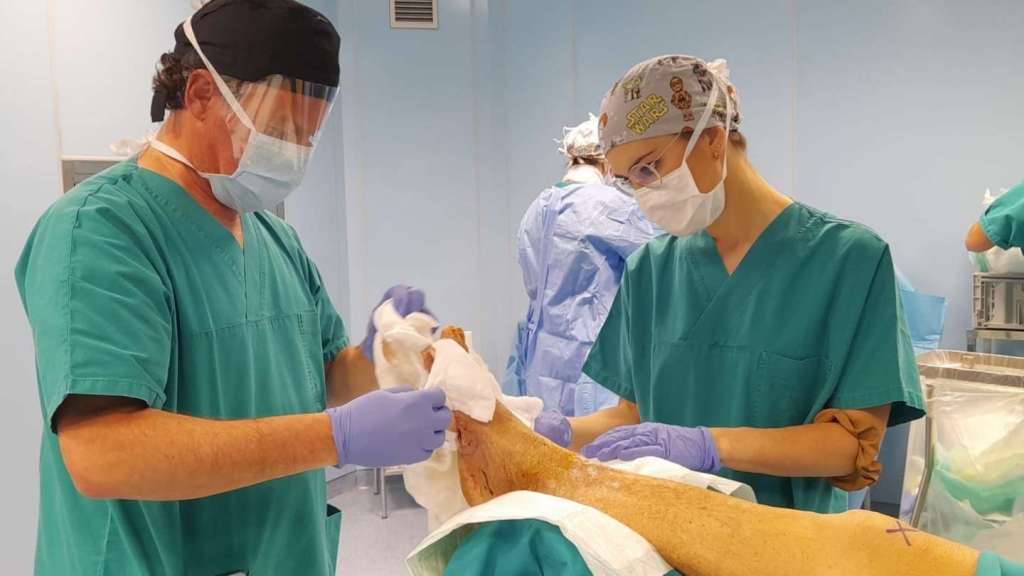 International Academy of Wound Care immagini gentilmente concesse dallaccademia 11