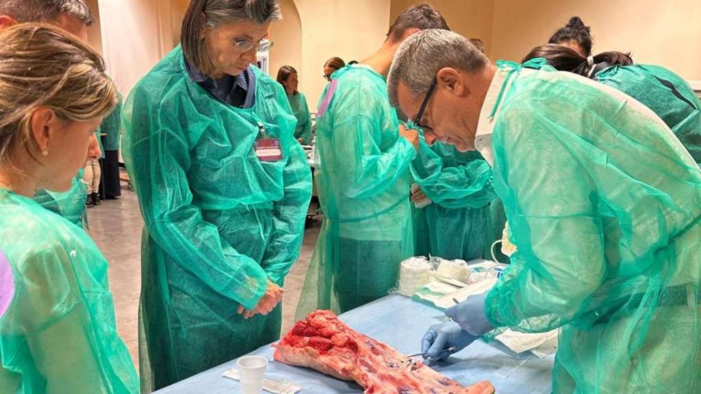 International Academy of Wound Care immagini gentilmente concesse dallaccademia 8